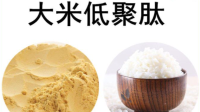 大米低聚肽提取工艺离不开酶解技术的支持